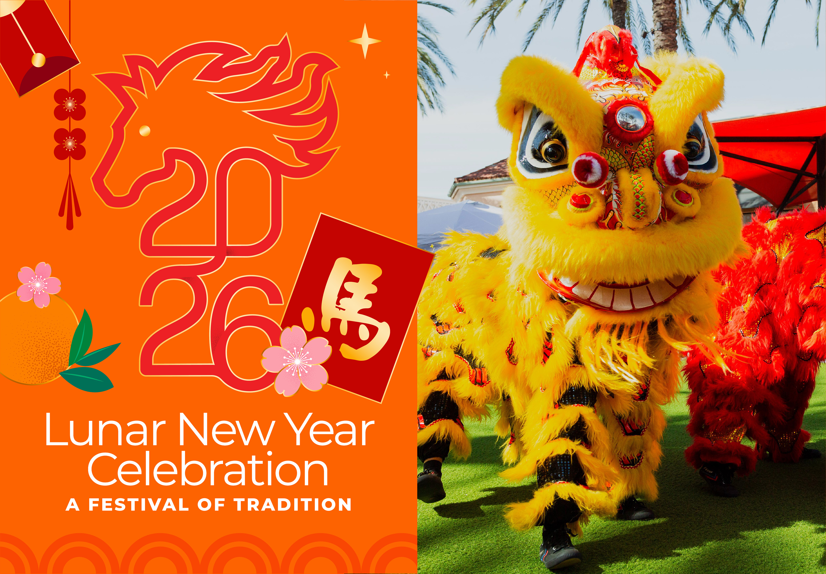 Lunar New Year Celebration: A Festival of Tradition