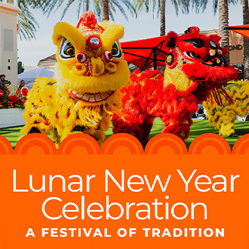 Lunar New Year Celebration | A Festival of Tradition